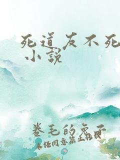 死道友不死贫道 小说