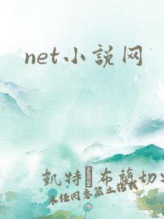 net小说网