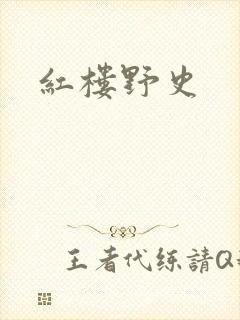 红楼野史