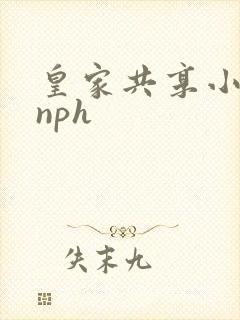 皇家共享小公主nph