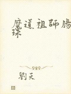 魔道祖师肠道串珠