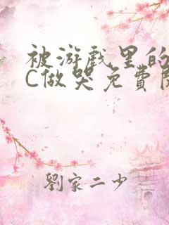 被游戏里的NPC做哭免费阅读