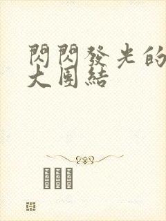 闪闪发光的小说大团结