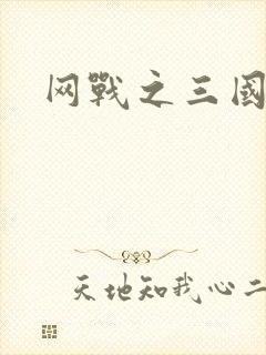 网战之三国霸业
