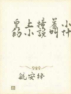 皇上撞着小公主的小说叫什么