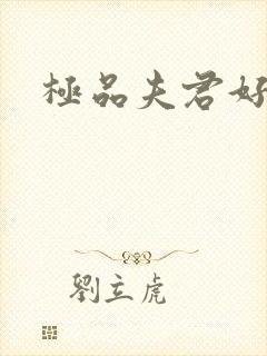 极品夫君好又多