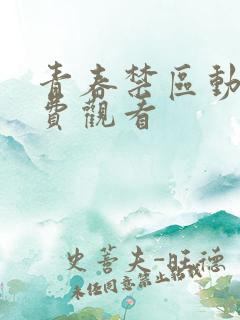 青春禁区动漫免费观看