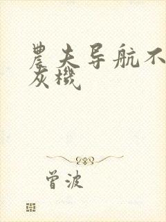 农夫导航不要打灰机