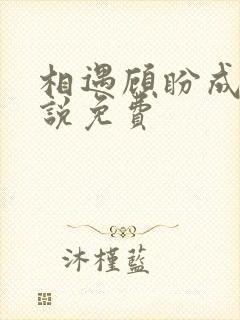 相遇顾盼成欢小说免费