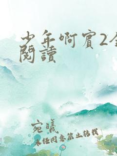 少年啊宾2全文阅读