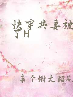 快穿共妻被C翻了H