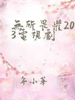 无所畏惧2023电视剧