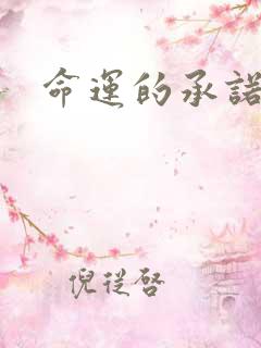 命运的承诺下载