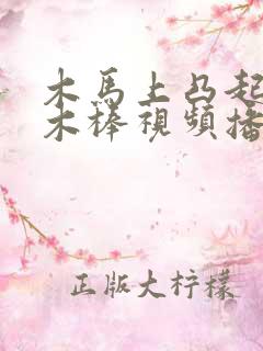 木马上凸起电动木棒视频播放