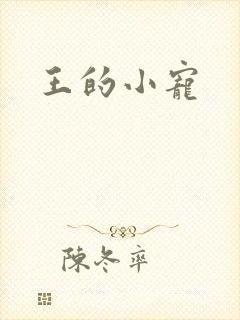 王的小宠