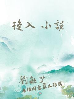 后入 小说