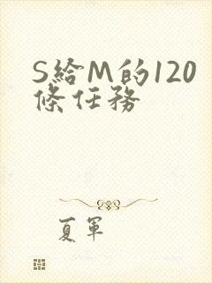 S给M的120条任务