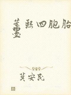 叶熙四胞胎厉子墨