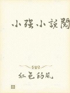 小强小说阅读网