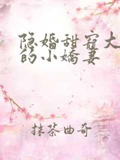 隐婚甜宠大财阀的小娇妻