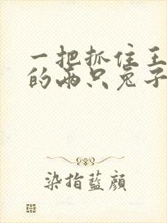 一把抓住王昭君的两只兔子