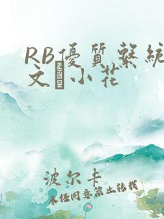 RB优质系统全文寀小花