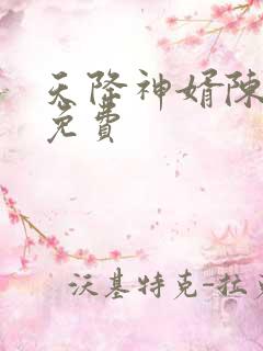 天降神婿陈黄皮免费