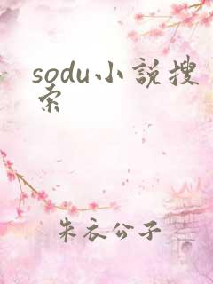 sodu小说搜索