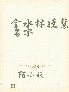 金水林晓慧小说名字