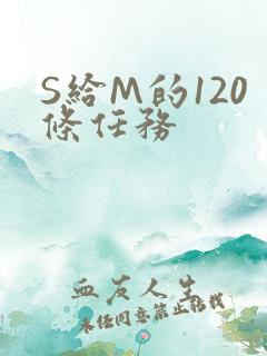 S给M的120条任务