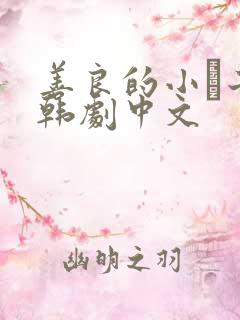 善良的小峓子2韩剧中文