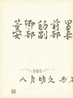 董卿的前男友公安部副部长