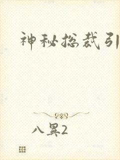 神秘总裁引入怀