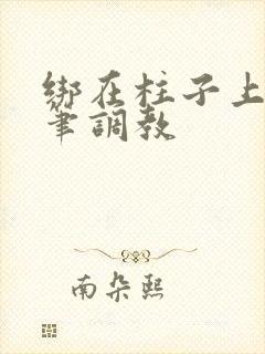 绑在柱子上用毛笔调教