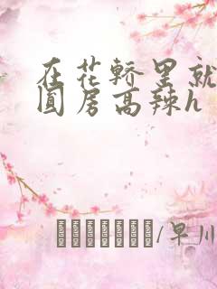 在花轿里就开始圆房高辣h