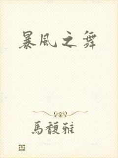 暴风之舞