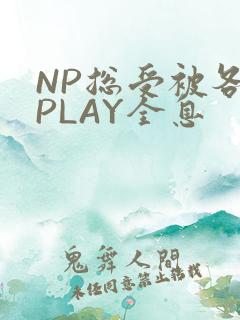NP总受被各种PLAY全息