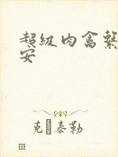 超级肉禽系统保安