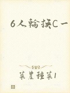 6人轮换C一个