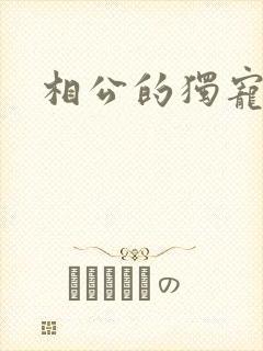 相公的独宠妻子