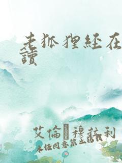 老狐狸经在线阅读