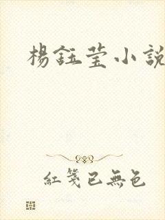 杨钰莹小说阅读