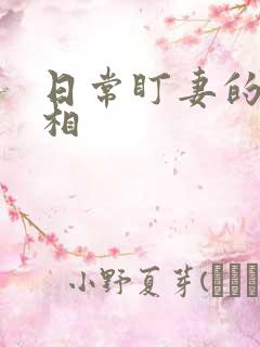 日常盯妻的小丞相