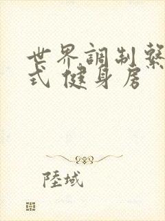 世界调制系统模式 健身房