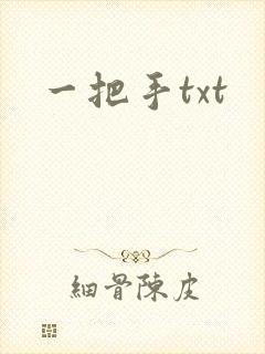 一把手txt