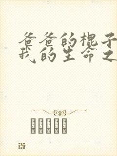 爸爸的棍子顶着我的生命之苏苗