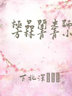 极品开光师李南方林青青小说免费阅读