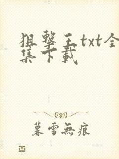 狙击王txt全集下载