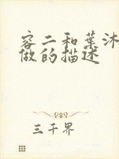 容二和叶沐走着做的描述