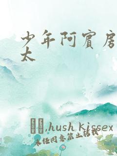 少年阿宾房东太太